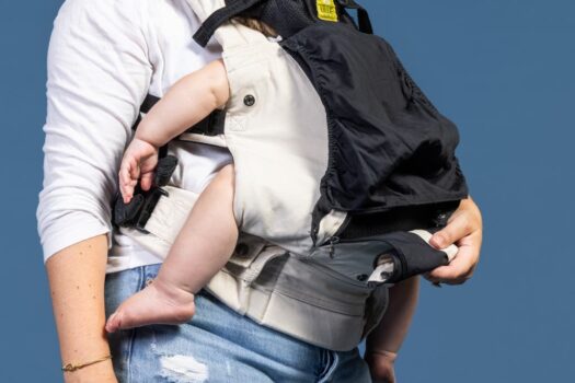 10 Best Baby Carriers 2025